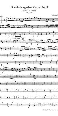 Bach: Brandenburg Concerto No. 5 BWV 1050 (Viool)