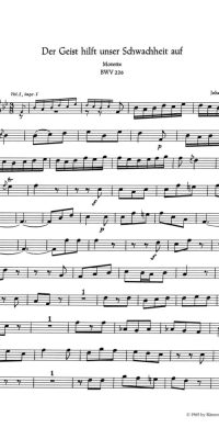 Bach: Der Geist hilft unser Schwachheit auf BWV 226 (Windset)
