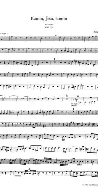 Bach: Motet BWV 229 Komm Jesu Komm (Hobo)