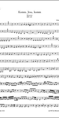 Bach: Motet BWV 229 Komm Jesu Komm (Viool 2)
