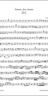 Bach: Motet BWV 229 Komm Jesu Komm (Altviool)