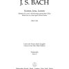 Bach: Motet BWV 229 Komm Jesu Komm (Cello)
