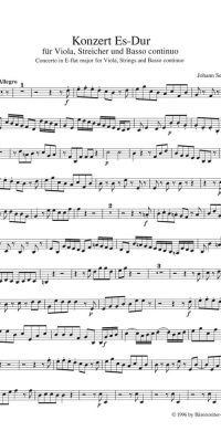 Konzert fuer Viola und Streicher - Concerto for Viola, Strings and Basso continuo