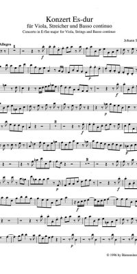 Konzert fuer Viola und Streicher - Concerto for Viola, Strings and Basso continuo