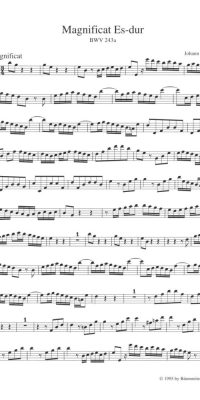 Bach: Magnificat E-flat major BWV 243a