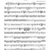 Mozart: Konzert für Klavier und Orchester Nr. 21 C-Dur KV 467