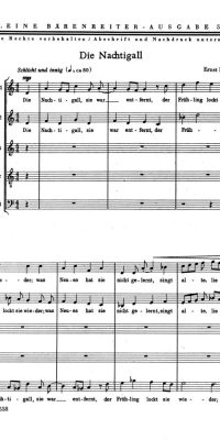 Die Nachtigall (1948/49)