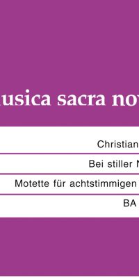 Christian Ridil: Bei stiller Nacht