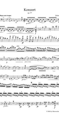 Brahms: Konzert für Violine und Orchester D-Dur op. 77