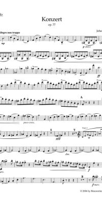 Brahms: Konzert für Violine und Orchester D-Dur op. 77