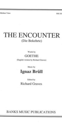 The Encounter