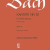 Bach: Kantate 082A Ich Habe Genug