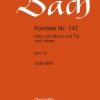 Bach: Kantate BWV 151 Süsser Trost, mein Jesus kömmt   (Koor)