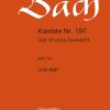 Bach: Kantate BWV 206 Schleicht, spielende Wellen (Koor)