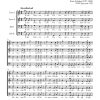 Franz Schubert: Trinklied aus dem 16.Jh. D 847 (SATB)