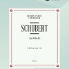 Franz Schubert: Nachthelle D892