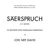 Johann Nepomuk David: Säerspruch