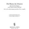 Jürg Baur: Blume des Scharon