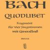 Bach: Quodlibet 'Was sind das fuer grosse Schlösser' BWV 524