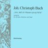 Bach: Lamento 'Ach, dass ich Wassers gnug hätte'