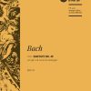 Bach: Kantate BWV 49 Ich geh und suche mit Verlangen (Set)