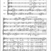 Stille Nacht (international)