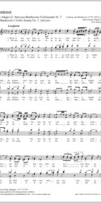 Beethoven: Tränentrost