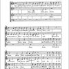 Hammerschmidt: Herr, mein Gott, wie groß (SATB) (Partituur)