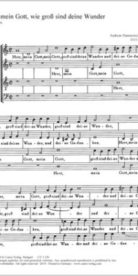 Hammerschmidt: Herr, mein Gott, wie groß (SATB) (Partituur)