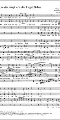 Freundt: Wie schön singt uns der Engel Schar (Partituur)