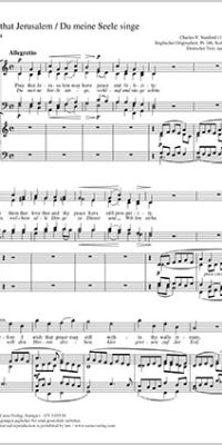 Pray that Jerusalem [Du meine Seele singe]
