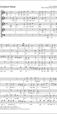 Surrexit pastor bonus