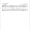 Johann Schweitzer: Sancta Maria (SATB)
