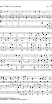 Da pacem Domine