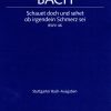 Bach: Kantate BWV 46 Schauet doch und sehet