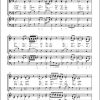 Haydn: Stern auf diesem Lebensmeere MH 686 (Partituur)