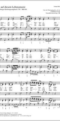 Haydn: Stern auf diesem Lebensmeere MH 686 (Partituur)