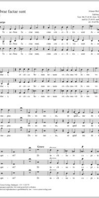 Haydn: Tenebrae factae sunt MH 162 (Partituur)