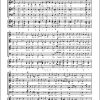 Haydn: Agnus Dei MH 552 (Partituur)