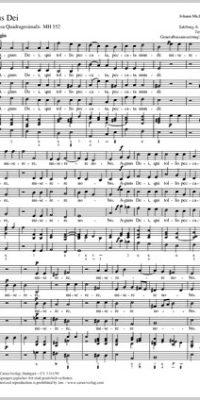 Haydn: Agnus Dei MH 552 (Partituur)