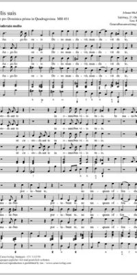 Haydn: Angelis suis MH 451 (Partituur)