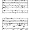 Haydn: Confitemini Domino MH 213,4 (Partituur)
