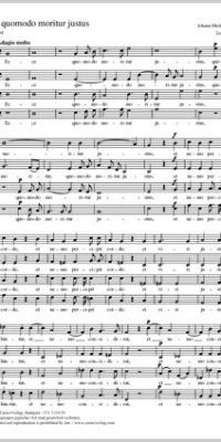 Haydn: Ecce quomodo moritur justus (Partituur)