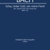 Bach: Kantate BWV 153 Schau Lieber Gott Wie Meine Feind