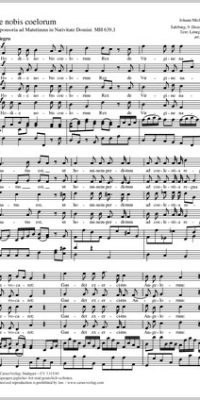 Haydn: Hodie nobis coelorum MH 639,1 (Partituur)
