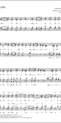 Haydn: Sancti Dei NH 328 (Partituur)