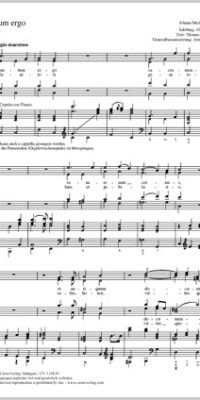 Haydn: Tantum ergo MH 404 (Partituur)