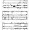 Mozart: Kantate op. 28 Des Lenzes freundlicher Verkünder (Partituur)