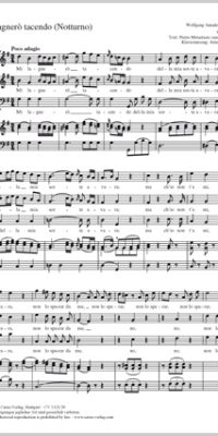 Mozart: Mi lagnerò tacendo