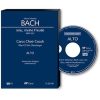 Bach: Jesu, meine Freude - BWV 227 (Alt)
